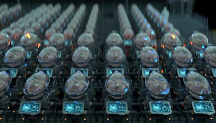 বিশ্বে প্রথম কৃত্রিম গর্ভের সুবিধা, থাকছে সন্তানের উচ্চতা ও বুদ্ধিমত্তা নির্ধারণের সুবিধা 